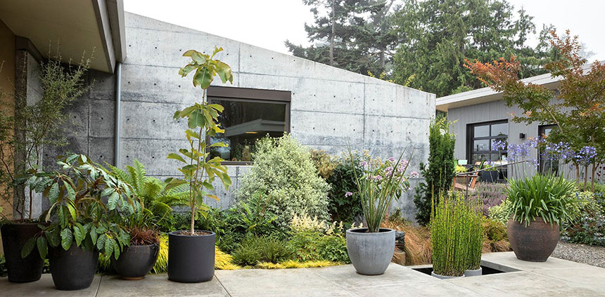 Container planting, architectural, restrained