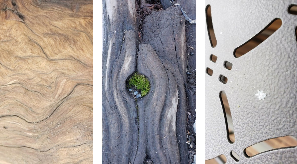 Wood grain on a drift log, Moss imbedded in an old fallen tree, Snowflake on a metal screen