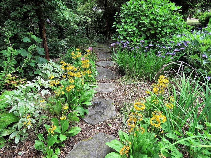 Garden path, stepping stones, woodchips