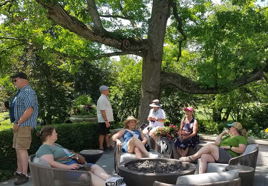 Several people sitting and standing in a garden under an oak tree