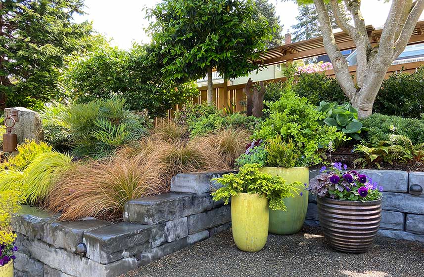 Garden design on a patio with containers, lime, and yellow pottery colors. 
