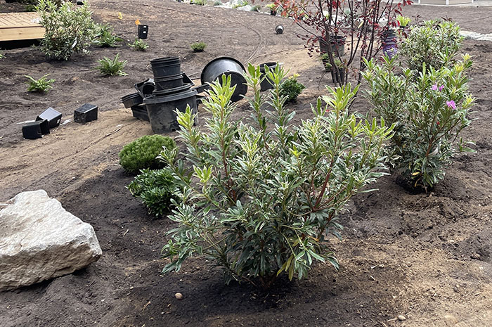 black plastic pots on a landscape installation