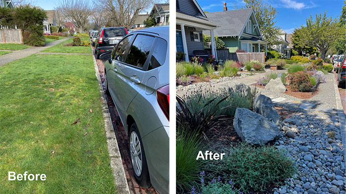 Landscape Design of a front yard and parking strip of natural plantings