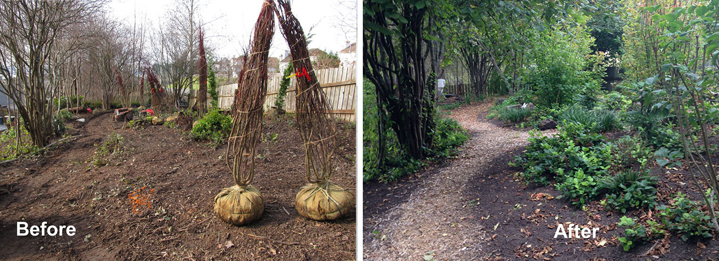 Woodland garden deisgn and restoration.