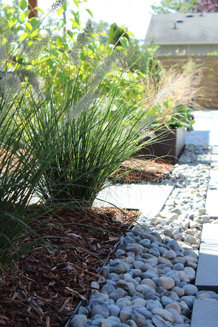 landscape pavers, rock edged with ornamental grass plantings