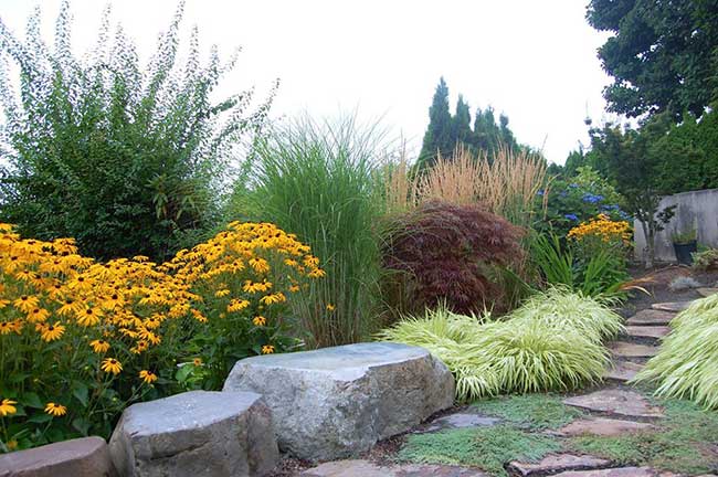 Image of colorful grasses and perennials along a stepping stone path that features seating boulders.