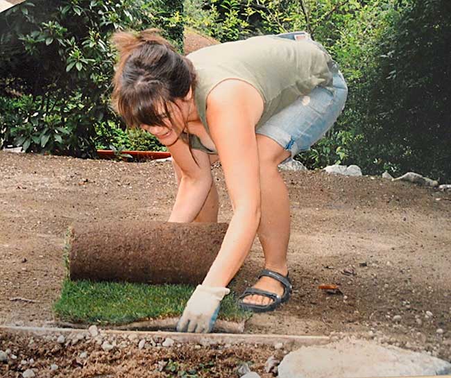 The author lays sod strips in her garden.