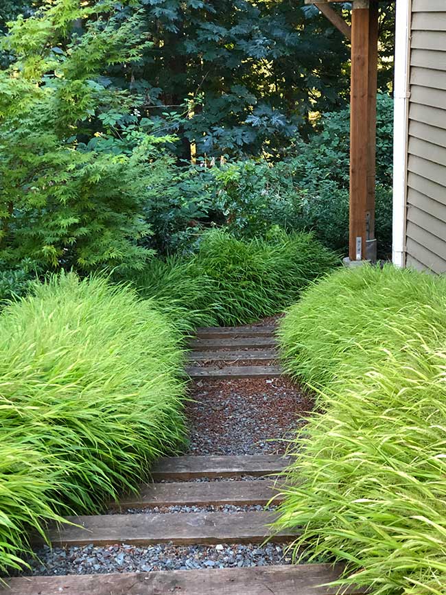 A gravel path with stairs that wind down through grasses to a client’s back garden.