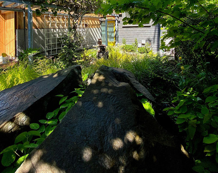 A split boulder nestled among plants as a garden feature