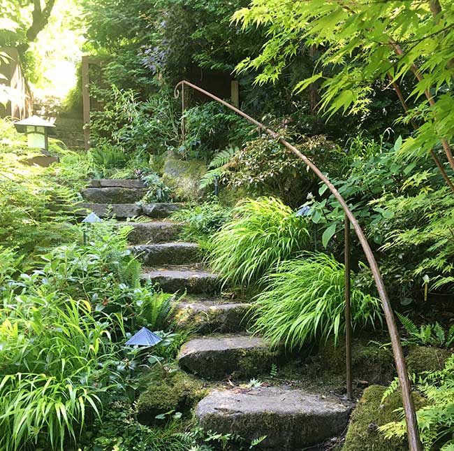 Natural stone steps featuring a hand-wrought metal handrail are planted with NW-Asian inspired plants.