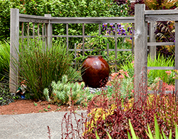 The fountain is the focal point for this small West Seattle front garden
