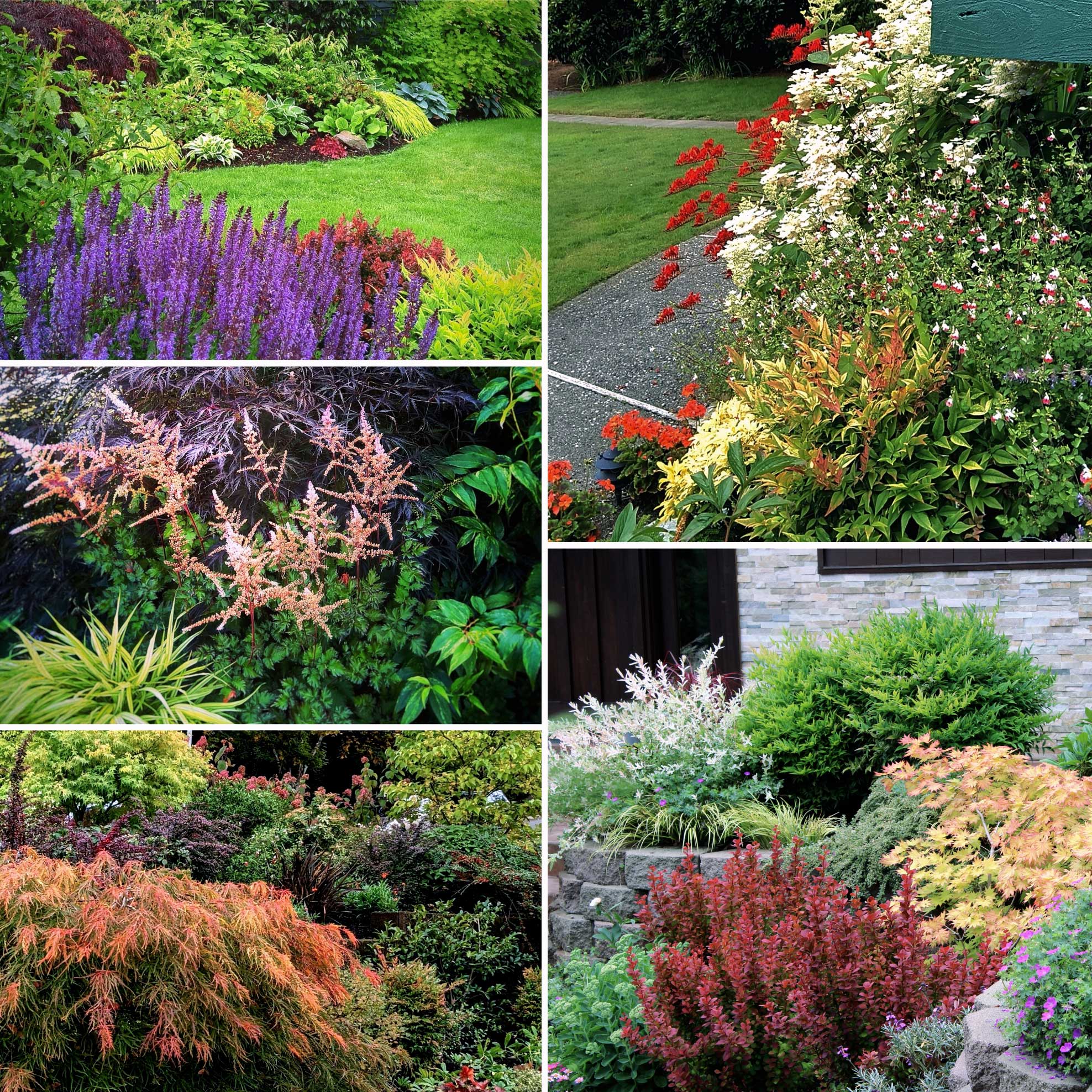 A collage of plant combinations with varying colors and textures.