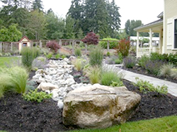 High Cascade boulders, many from the property, define the stream bed. Cutting flowers from the adjoining bed will be will be gathered by the kitchen staff to decorate the house and patios for events