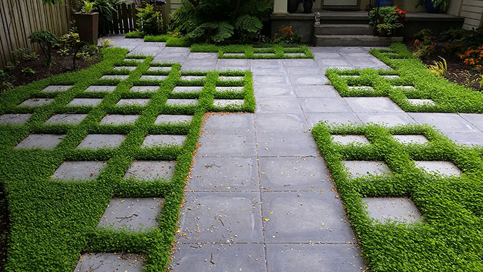 A path constructed of square pavers interspersed with micro-clover connects a sidewalk, driveway, front porch and side gate. 