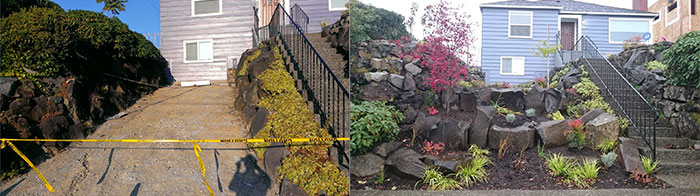 Images showing the site where a steep driveway was removed. In its place natural boulder retaining walls were constructed and planted with a colorful array of trees, shrubs and perennials.