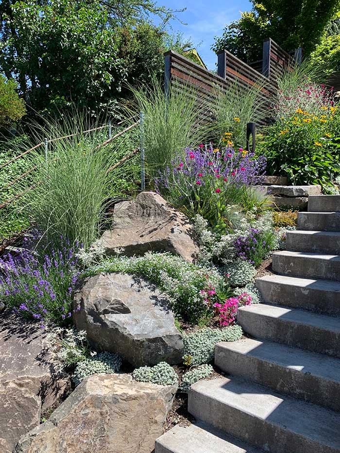 Concrete steps on a steep slope flanked by grasses and colorful plants along with large boulders that hold the soil on the slope.