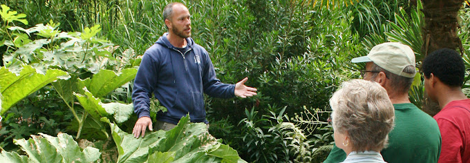 Man in lush garden speaking to three other people.