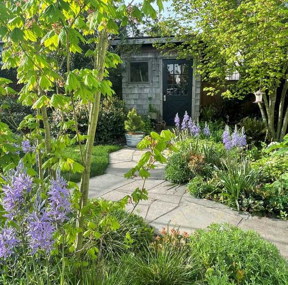 walk and plants with outbuilding